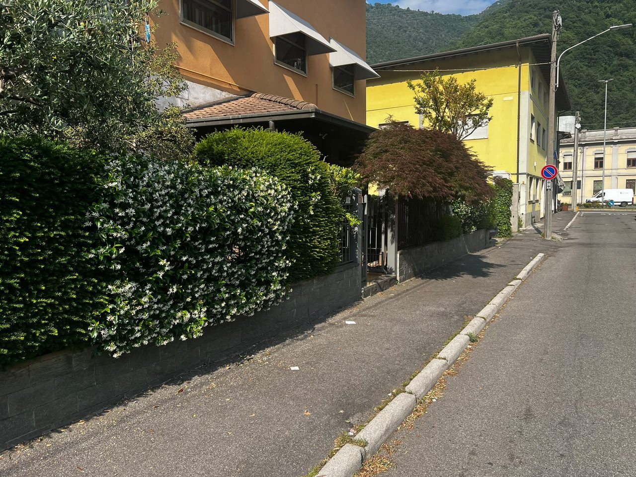 La via tranquilla davanti all'Albergo Milena